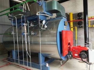 山（shān）東德（dé）州4噸冷凝一體（tǐ）燃氣蒸