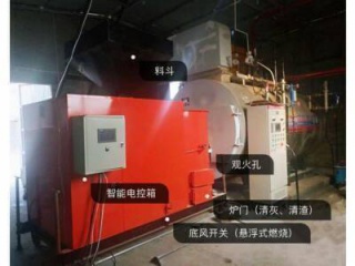 甘肅燃生物質燃氣兩用蒸汽鍋爐